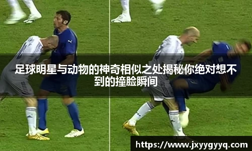 足球明星与动物的神奇相似之处揭秘你绝对想不到的撞脸瞬间